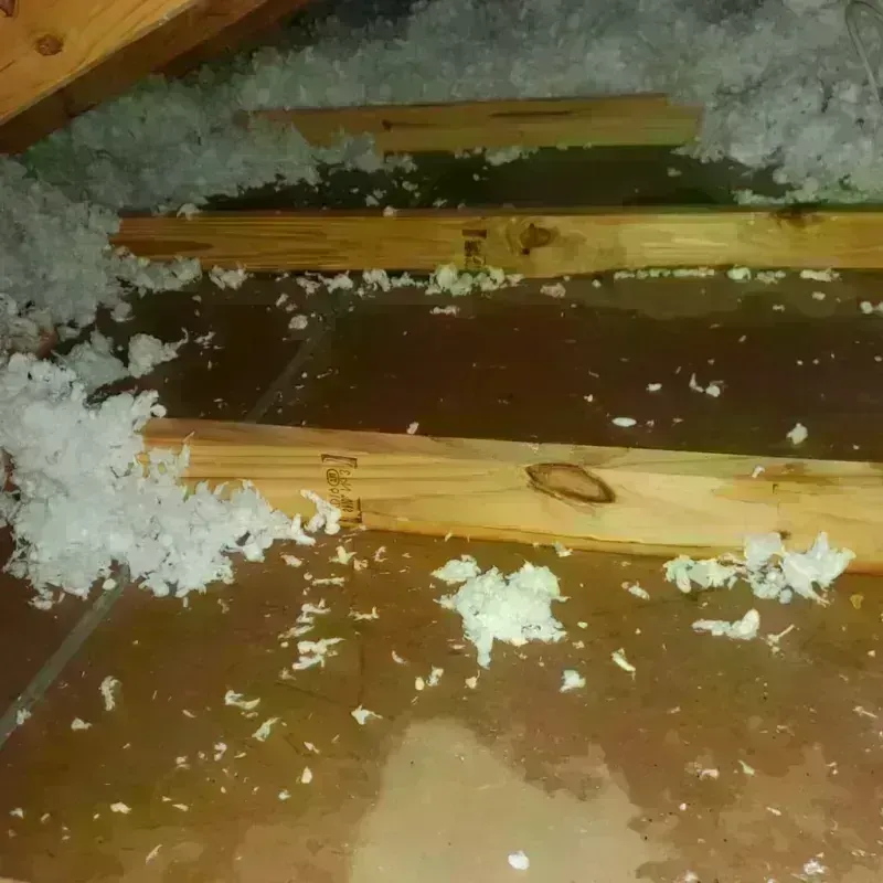 Attic Water Damage in Camden, SC