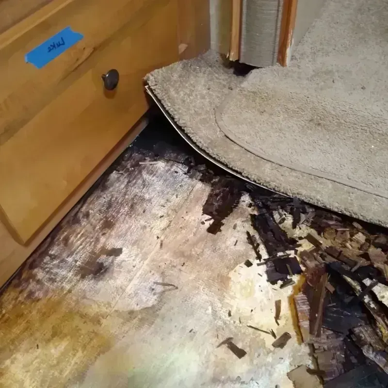 Wood Floor Water Damage in Camden, SC